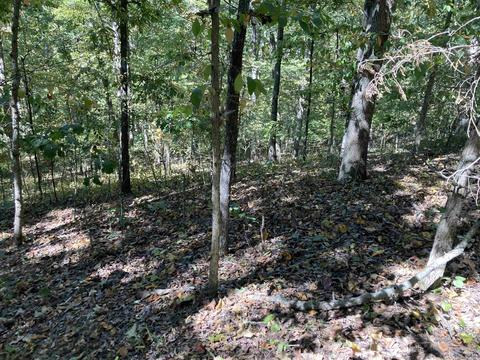 169 Glaze Loop Rd, Bald Knob, AR 72010 photo 36
