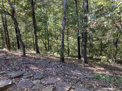 169 Glaze Loop Rd, Bald Knob, AR 72010 photo 28