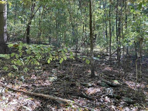 169 Glaze Loop Rd, Bald Knob, AR 72010 photo 41