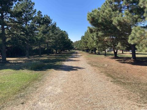 169 Glaze Loop Rd, Bald Knob, AR 72010 photo 49