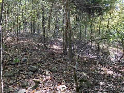 169 Glaze Loop Rd, Bald Knob, AR 72010 photo 40
