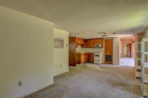 158 Round Mountain Rd, El Paso, AR 72045 photo 44