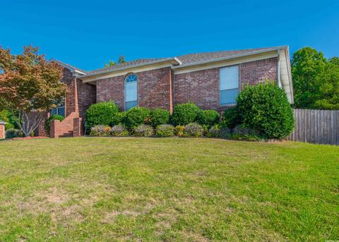 13424 Melrose Dr, Alexander, AR 72002 photo 1