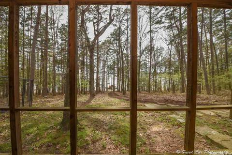 2230 Tannenbaum Rd, Drasco, AR 72530 photo 3