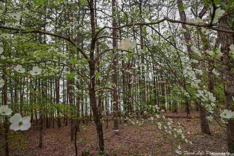 2230 Tannenbaum Rd, Drasco, AR 72530 photo 30