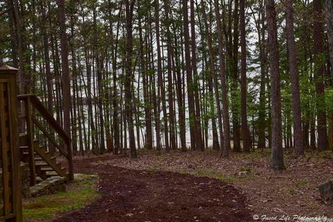 2230 Tannenbaum Rd, Drasco, AR 72530 photo 29