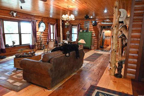 150 Zip Code Trl, Saint Joe, AR 72675 photo 31