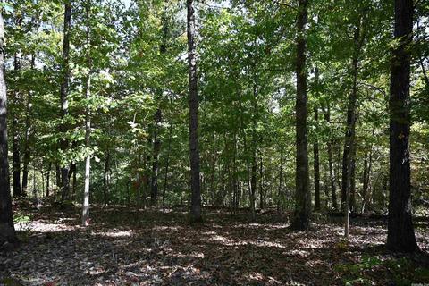 150 Zip Code Trl, Saint Joe, AR 72675 photo 13