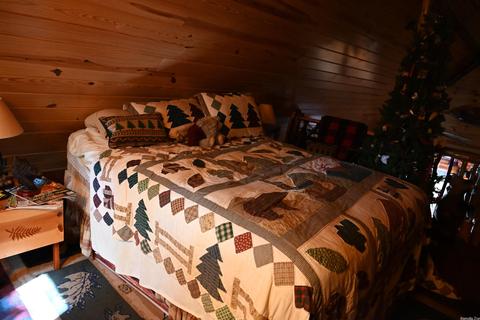 150 Zip Code Trl, Saint Joe, AR 72675 photo 36