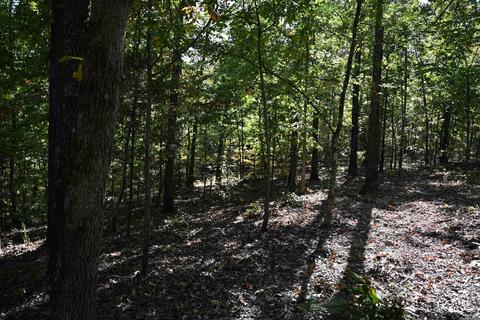 150 Zip Code Trl, Saint Joe, AR 72675 photo 11