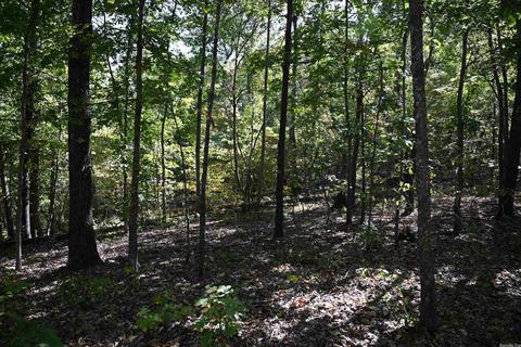 150 Zip Code Trl, Saint Joe, AR 72675 photo 12