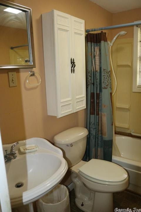 172 Eagle Point Rd, Mountain View, AR 72560 photo 11