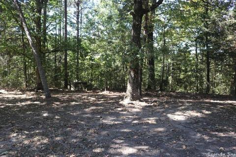 172 Eagle Point Rd, Mountain View, AR 72560 photo 3