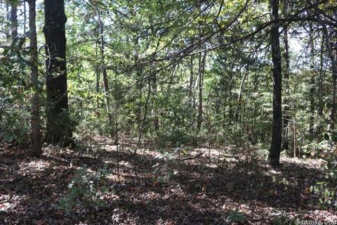 172 Eagle Point Rd, Mountain View, AR 72560 photo 23