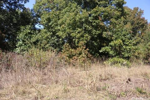 172 Eagle Point Rd, Mountain View, AR 72560 photo 20