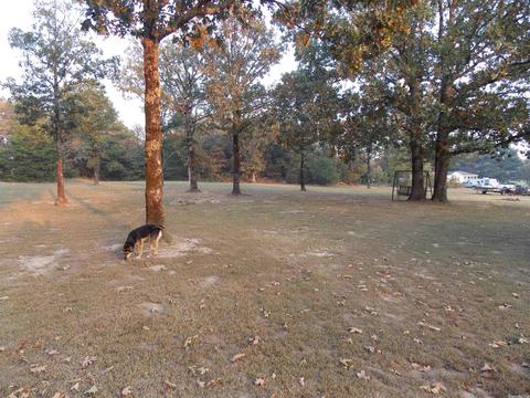 170 Glaze Loop, Bald Knob, AR 72010 photo 32