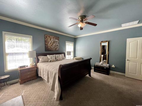 28 Bill Mann Dr, Melbourne, AR 72556 photo 8