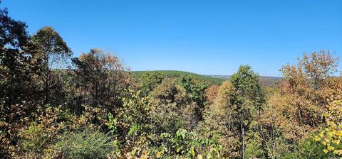 112 Glaze Rd, Searcy, AR 72143 photo 9