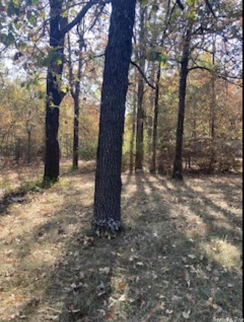 237 Millpond Rd, Conway, AR 72034 photo 3