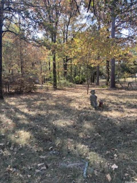 237 Millpond Rd, Conway, AR 72034 photo 2