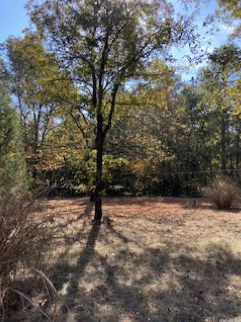 237 Millpond Rd, Conway, AR 72034 photo 1
