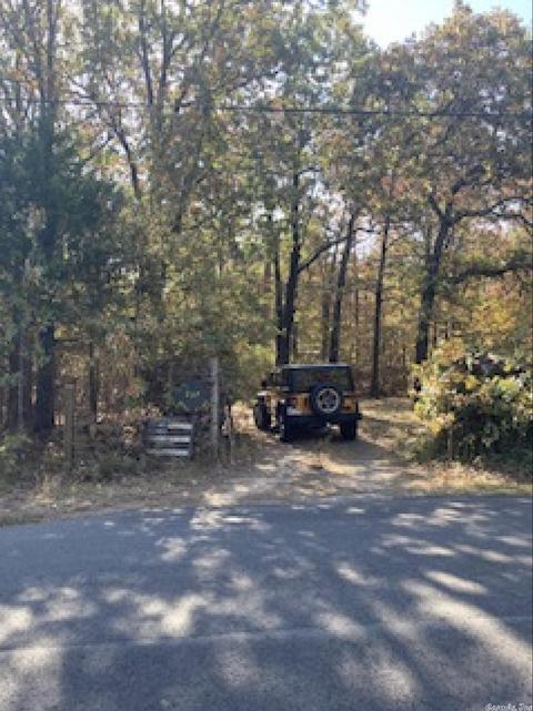 237 Millpond Rd, Conway, AR 72034 photo 4