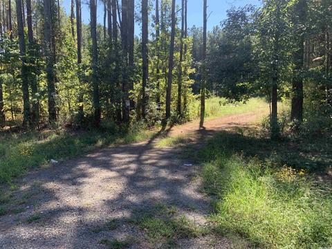 481 E Greentree, Ward, AR 72176 photo 2