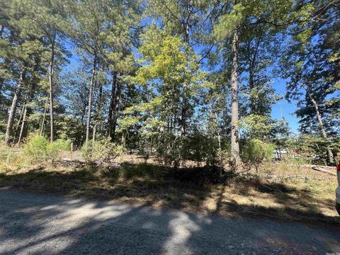 tbd Maple Creek Rd, Hensley, AR 72065 photo 4