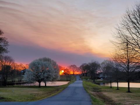 104 Hidden Lake Cv, Beebe, AR 72012 photo 48