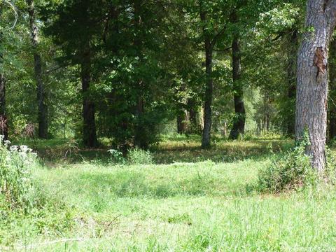 3249 Timberlake, Royal, AR 71968 photo 15