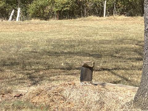 1268 Hwy 9 W, Clinton, AR 72031 photo 8