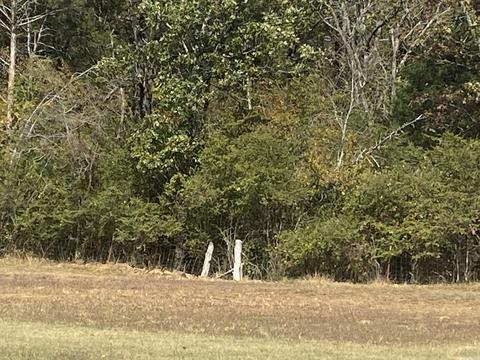 1268 Hwy 9 W, Clinton, AR 72031 photo 23