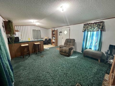 75 Howard, Higden, AR 72067 photo 2