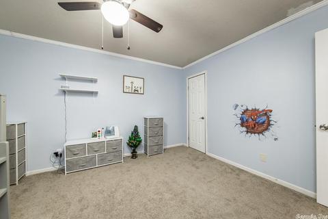 4100 Driskill Rd, Cabot, AR 72023 photo 24