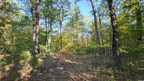 1289 Crossing Rd, Marshall, AR 72650 photo 33