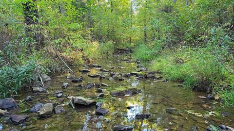 1289 Crossing Rd, Marshall, AR 72650 photo 3