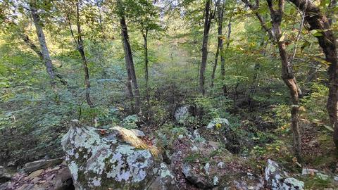 1289 Crossing Rd, Marshall, AR 72650 photo 37