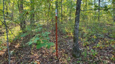 1289 Crossing Rd, Marshall, AR 72650 photo 38