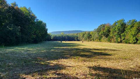 1289 Crossing Rd, Marshall, AR 72650 photo 2