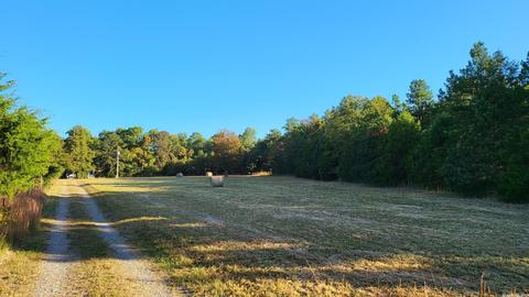1289 Crossing Rd, Marshall, AR 72650 photo 9
