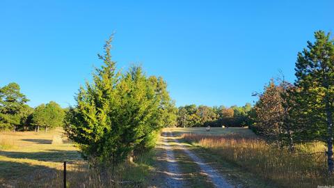 1289 Crossing Rd, Marshall, AR 72650 photo 7