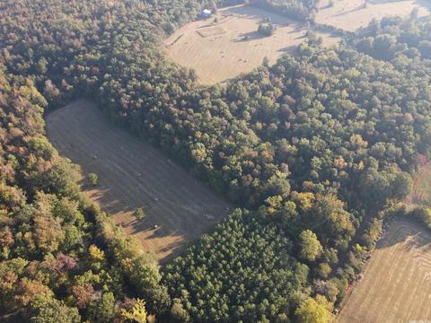 1289 Crossing Rd, Marshall, AR 72650 photo 1