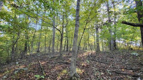 1289 Crossing Rd, Marshall, AR 72650 photo 34