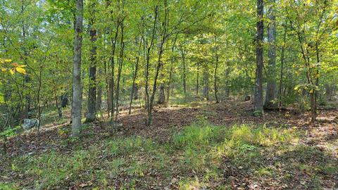 1289 Crossing Rd, Marshall, AR 72650 photo 35