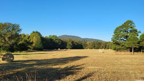 1289 Crossing Rd, Marshall, AR 72650 photo 8