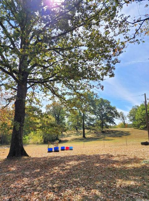 482 Polk Road 151, Hatfield, AR 71945 photo 40
