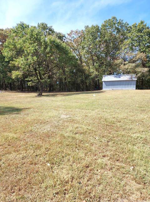 482 Polk Road 151, Hatfield, AR 71945 photo 46