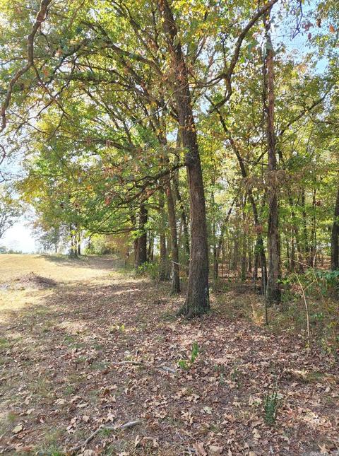 482 Polk Road 151, Hatfield, AR 71945 photo 43
