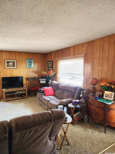 482 Polk Road 151, Hatfield, AR 71945 photo 20