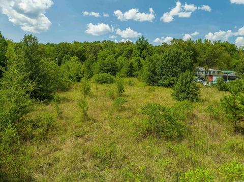 209 Comet St, Mountain Pine, AR 71956 photo 5